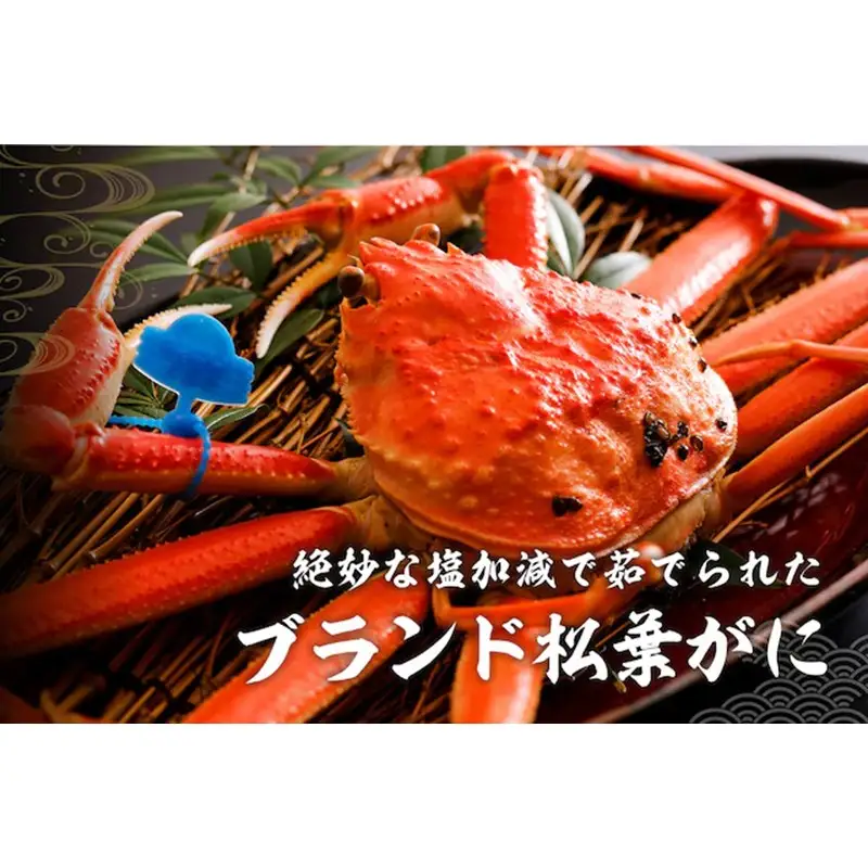 【訳あり！指落ち松葉がに】山陰沖ゆで松葉がに 1ｋｇ～1.1ｋｇ 超特大サイズ（1月～3月発送）／北畿水産