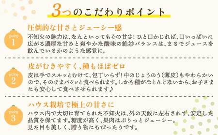令和8年熊本地震復興支援  先行予約 不知火 冨田さん家の不知火 路地栽培 5kg 【2027年1月中旬-1月下旬発送予定】