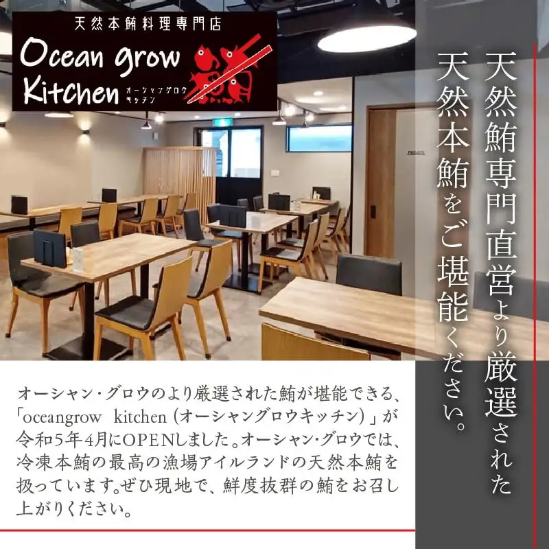 oceangrow kitchen お食事券（ 鮪の茜身 【 血合い 】刺身 ＋ 漬け焼き ）1名様分 M007-021 チケット 体験