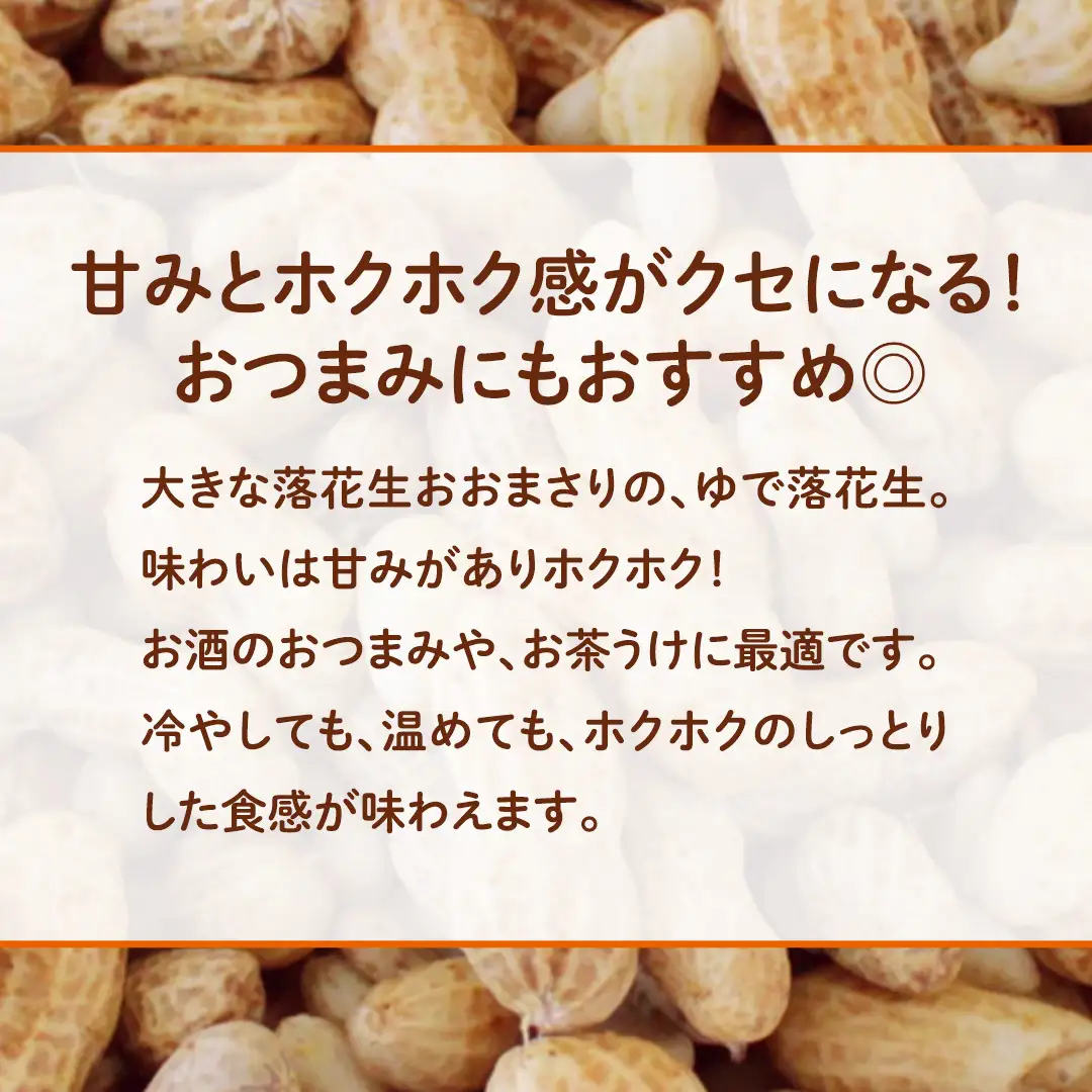 おおまさり ゆで落花生 合計340g (170g×2袋) 【2025年10月中旬から発送開始】 簡易包装 ポスト投函 ご自宅用 ピーナッツ 落花生 おつまみ おやつ お菓子 ナッツ [BB012sa]