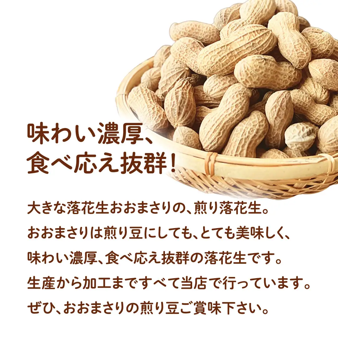 おおまさり 煎り落花生 合計480g (240g×2袋) 【2025年11月上旬から発送開始】 簡易包装 ご自宅用 ピーナッツ 落花生 おつまみ おやつ お菓子 ナッツ [BB013sa]