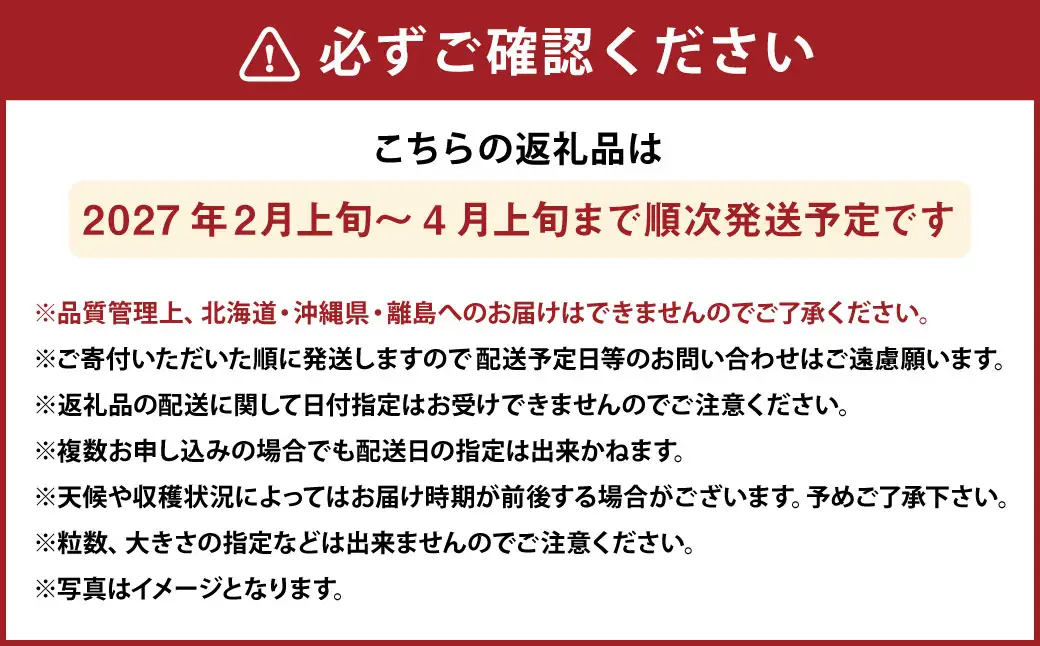 化粧箱入りプレミアムあまおう 約400g×1パック【ギフト・お祝い・贈答用】 あまおう いちご イチゴ 苺 果物 くだもの フルーツ【2027年2月上旬～2027年4月上旬発送予定】