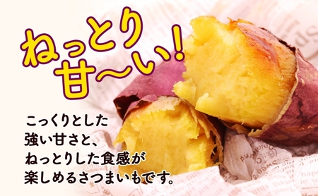 さつまいも紅はるか新しのつ産 北海道産 さつまいも【計2kg】【送料無料】