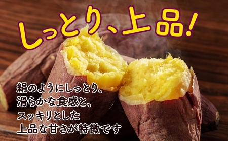 さつまいもシルクスイート新しのつ産 北海道産 さつまいも【計2kg】【送料無料】