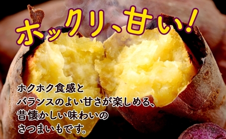 さつまいも紅あずま新しのつ産 北海道産 さつまいも【計2kg】【送料無料】