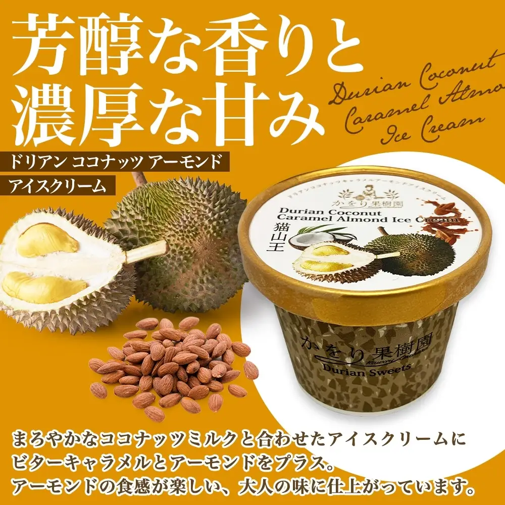 ドリアン ココナッツ キャラメルアーモンド アイスクリーム 100ml 12個 ココナッツ キャラメル