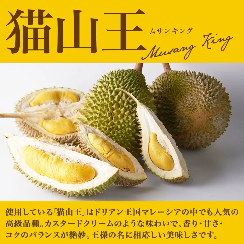 ドリアン アイスクリーム 2種 計12個 ココナッツミルク キャラメル アーモンド アイスクリーム