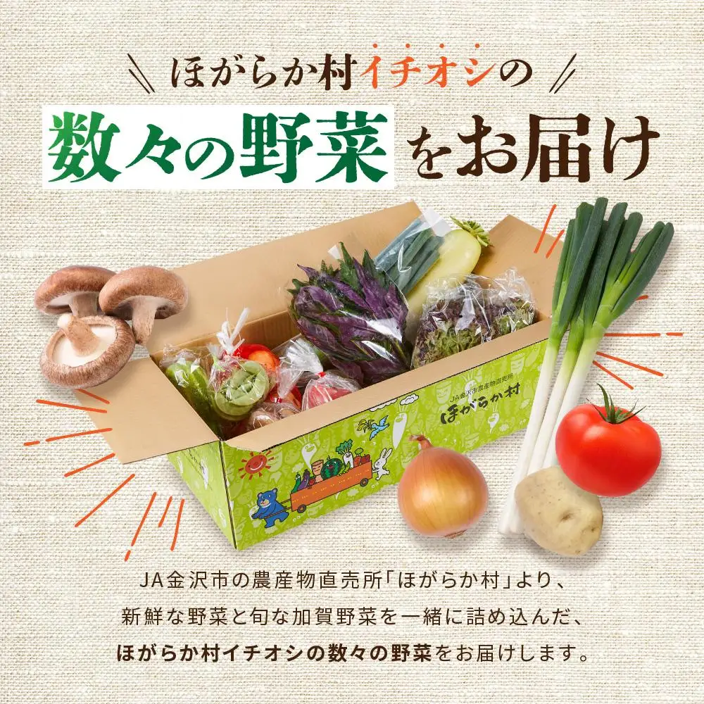 JA金沢市 季節の加賀野菜・金沢地物野菜セット 野菜詰め合わせ