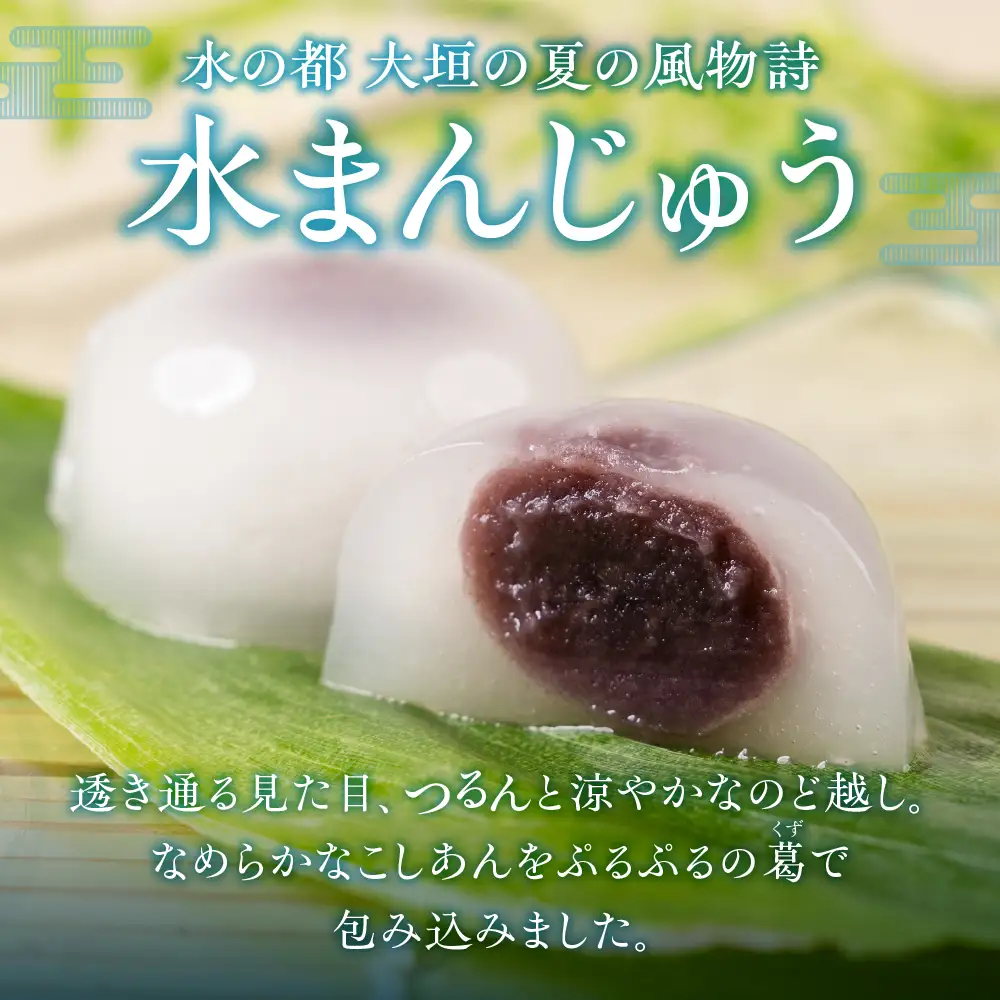 大垣名物 水まんじゅう 10個 【冷凍 季節限定 10月25日まで】　まんじゅう