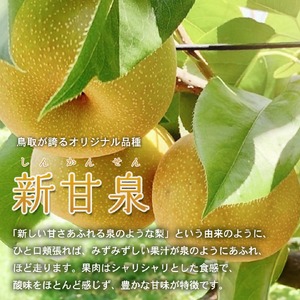 Y986 新甘泉(秀) 3L 3kg