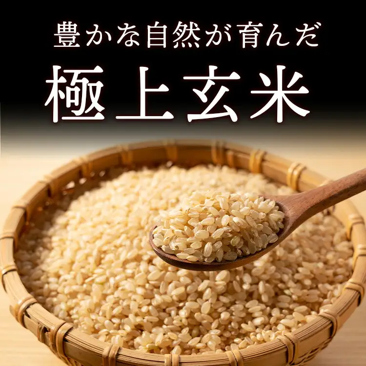 【10月発送】令和8年産新米 とちぎの星玄米30kg｜ 米 お米 国産 栃木県 塩谷町 ※2026年10月～発送