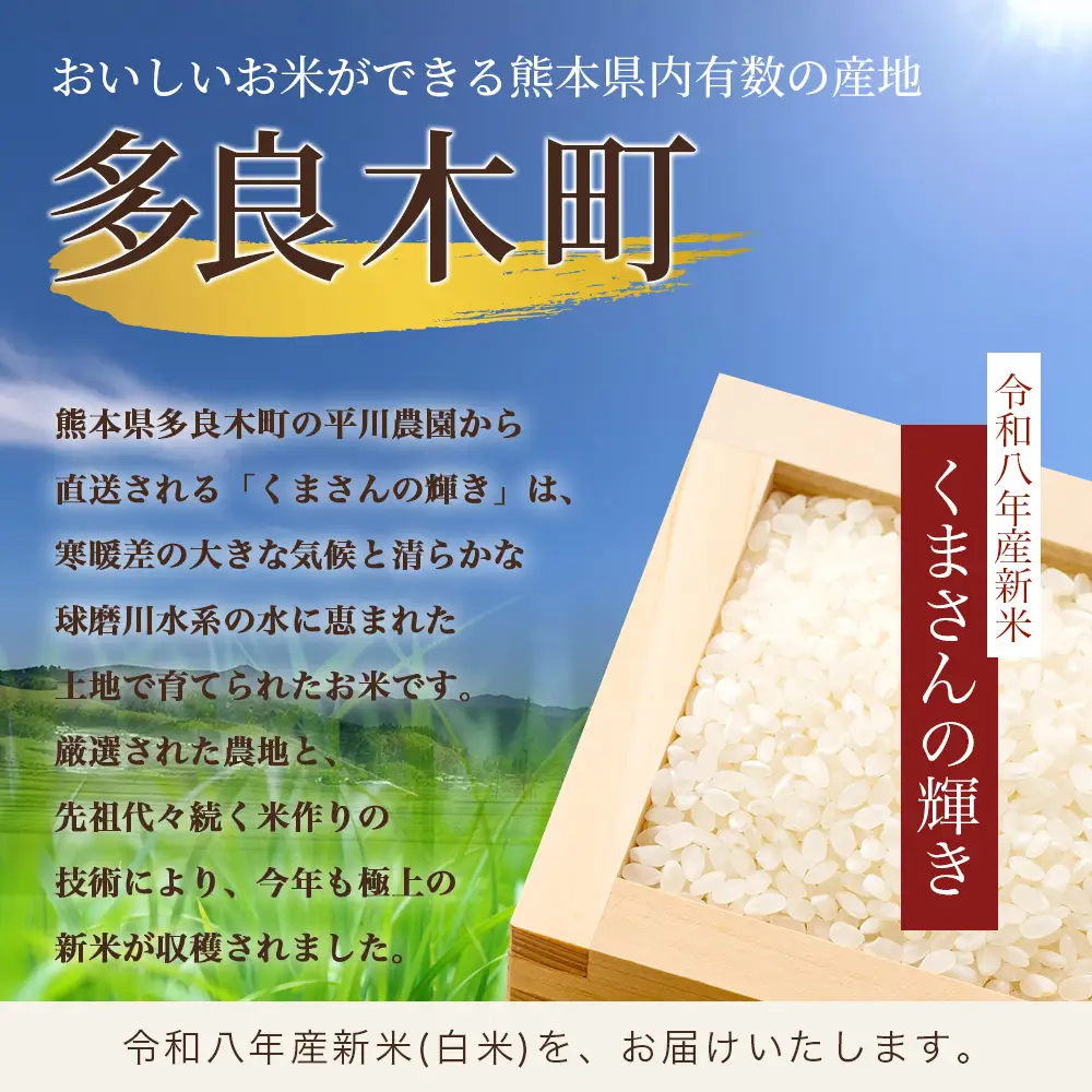 令和8年産 新米 くまさんの輝き 5kg (令和8年10月中旬～発送) 精米・玄米選べる 熊本県産 お米 107-0701