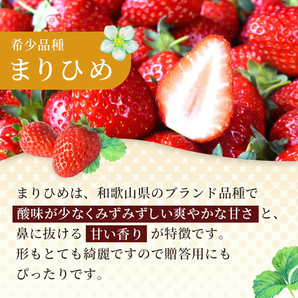 先行予約 まりひめいちご 15～20粒入×4パック 食べやすいひと口サイズ こだわり 農家厳選 ［KG32］
