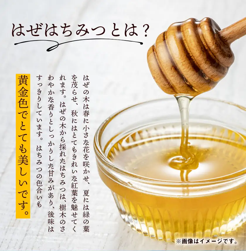 はぜはちみつ 2000g 1000g×2本 2026年採蜜 木原養蜂園《30日以内に出荷予定(土日祝除く)》
