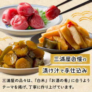昔ながらのしょっぱい梅干し 160g×2個 うめぼし 梅 塩 赤しそ 漬物 漬け物 おかず お弁当 ご飯のお供 【三浦屋】ta526