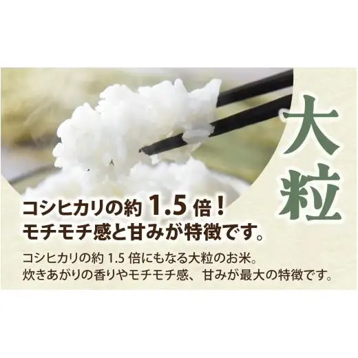 富山県滑川市産　弱アルカリ性米　「ピロール農法米　いのちの壱」精米5kg【2025年10月中旬より順次発送】 / 産地直送 袋 ブランド米 お米 米 ご飯 ごはん 富山 滑川市 アグリめぐみ 農家直送 おこめ