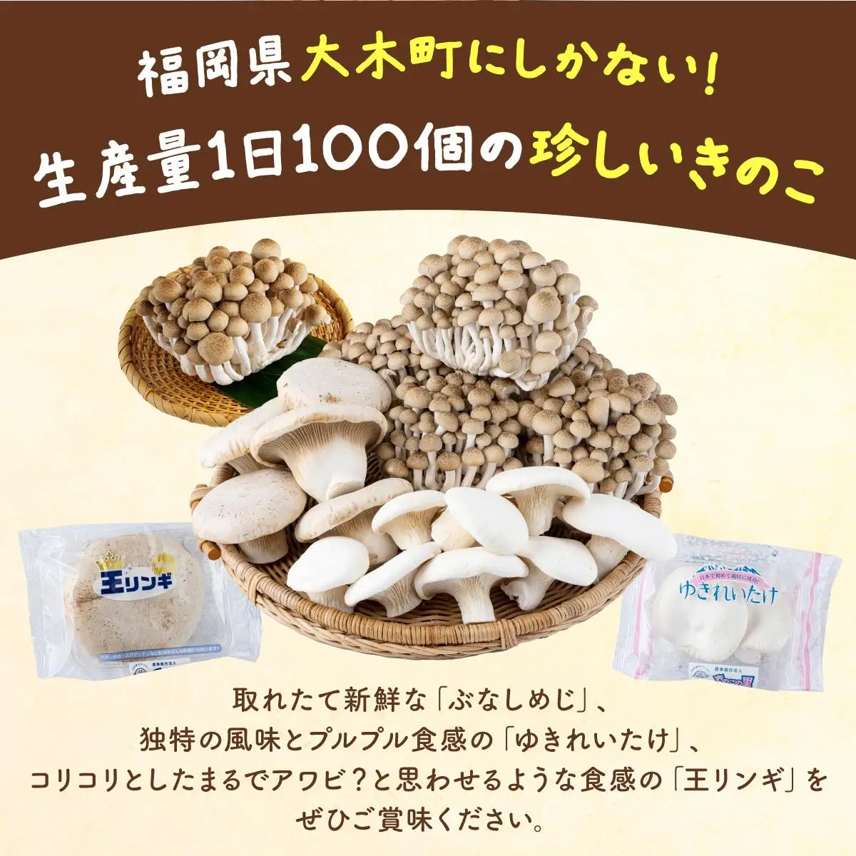 食欲の秋！きのこの詰め合わせ(ぶなしめじ・ゆきれいたけ・王リンギ各3パック)　AT16