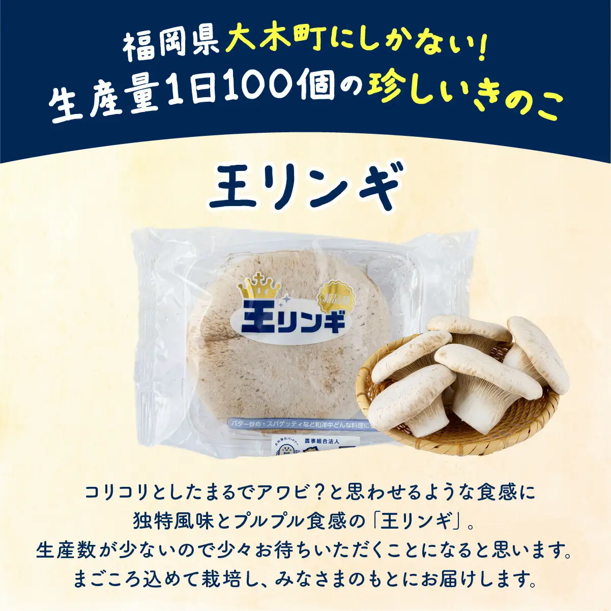 珍しいきのこ 王リンギ5パック　AT18