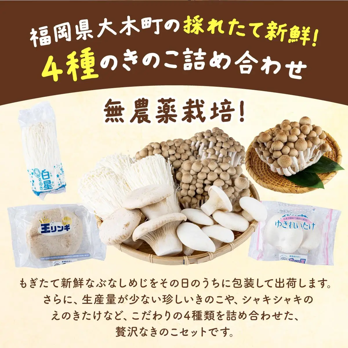 大木町のきのこセット(ぶなしめじ・ゆきれいたけ・王リンギ・えのきたけ各2パック)　AT26