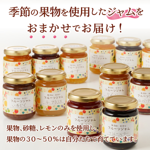 無添加無農薬手作りジャム11本セット (a18-009)