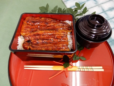 鰻 の 長蒲焼き 2尾 詰合せ (a19-013)