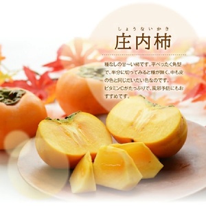 SA3040　酒田産 庄内柿　約3kg(14～18玉入)2L～3Lサイズ
