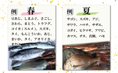 【定期便　隔月２回】【朝獲り】漁師厳選 鮮魚セット (大) 5種類以上 約5kg | お任せ 盛り合わせ