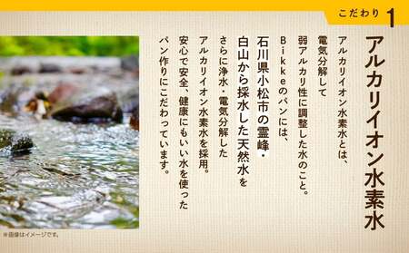 クランベリーベーグル10個セット ベーグル