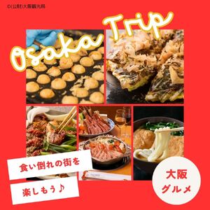 【 日本空輸 】大阪市に泊まるふるさと納税旅行クーポン9,000円分_OS168-0001-03