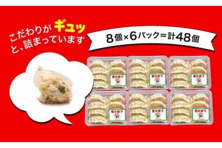 「宇都宮餃子館」健太餃子 960g（48個）≪冷凍餃子 冷凍食品 ギョーザ グルメ 食品 惣菜 中華惣菜 点心 中華≫