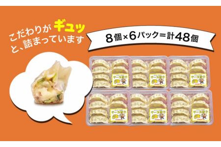 「宇都宮餃子館」チーズ餃子 960ｇ（４８個）≪ギョーザ 冷凍餃子 冷凍食品 グルメ 食品 惣菜 中華惣菜 点心 中華≫◇