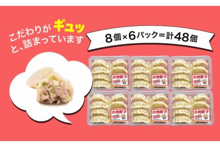 「宇都宮餃子館」お肉餃子 960ｇ（４８個）≪ギョーザ 冷凍餃子 冷凍食品 グルメ 食品 惣菜 中華惣菜 点心 中華≫◇