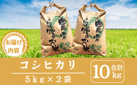 無洗米 コシヒカリ 10kg 米 お米 京都丹波産 無洗米