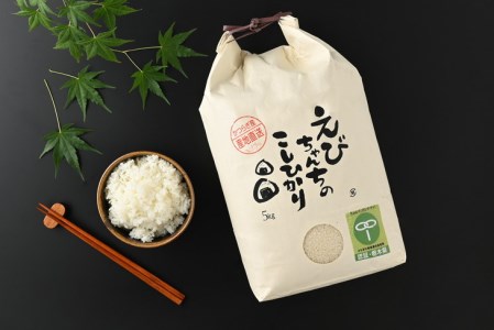 えびちゃんちの米　さくら市葛城産　5Kg　≪令和6年産 米 お米 白米 ご飯 栃木県産 送料無料≫