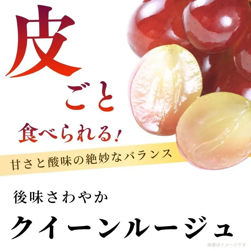 ぶどう 訳あり 家庭用 クイーンルージュ 2kg 4～6房 ぶどう
