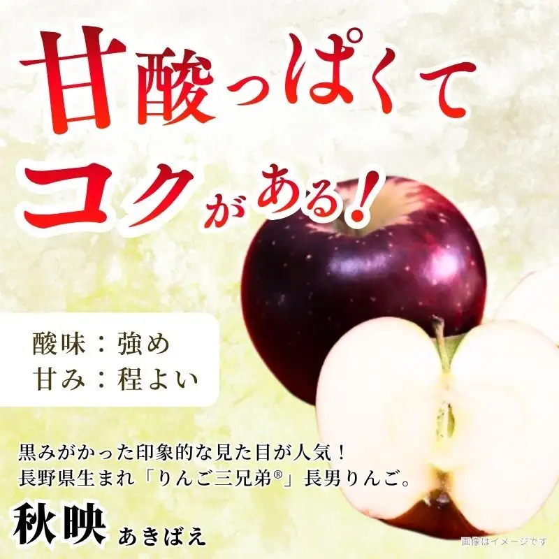 りんご 秋映 秀品 3kg 7～11玉 りんご