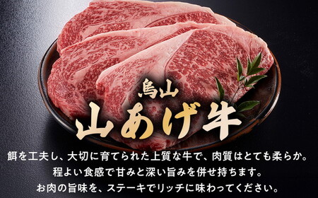 37-2　烏山山あげ牛サーロインステーキ　220ｇ×３枚