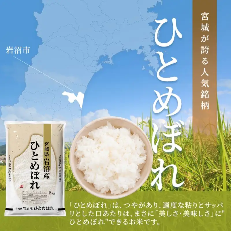 【令和8年産 】 食味鑑定士厳選 新米 ひとめぼれ 5kg 6か月 定期便 コメ