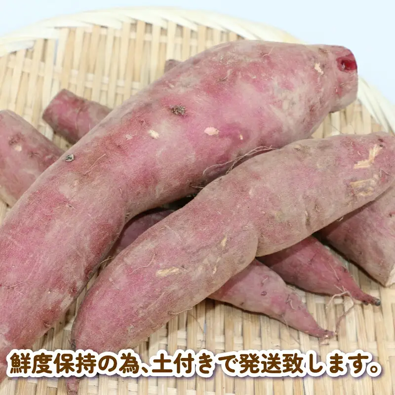 さつまいも シルクスイート 3kg あかだ農園 先行予約 さつま芋 サツマイモ 焼き芋 焼きいも 焼いも おやつ 甘い 野菜 やさい 産地直送 栽培期間中 農薬 不使用 根菜 イモ 芋 農家直送 数量限定 国産 愛媛 宇和島 F010-137003
