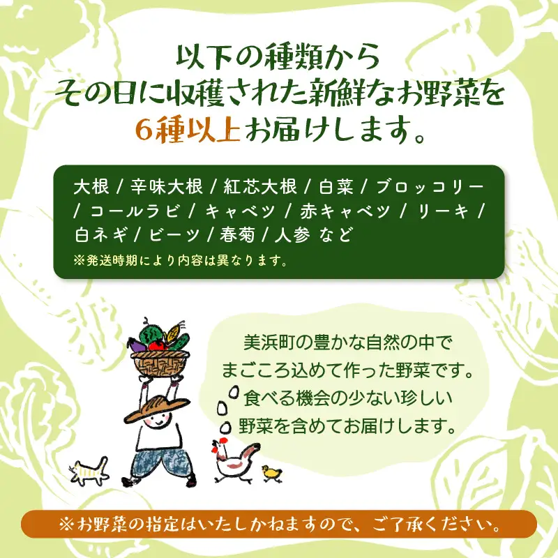 【先行予約】お野菜セット 旬の冬野菜と平飼い卵のお楽しみボックス【2026年12月上旬以降順次発送予定】[m75-a001]