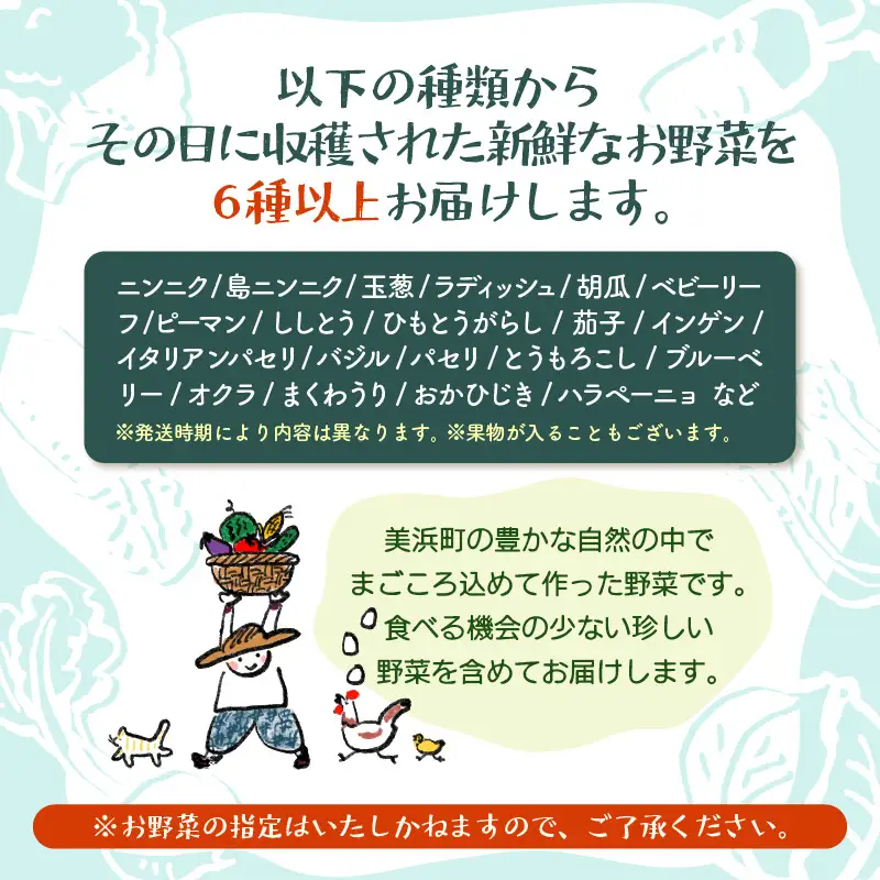 【先行予約】お野菜セット 旬の夏野菜と平飼い卵のお楽しみボックス【2026年7月上旬以降順次発送予定】 [m75-a002]