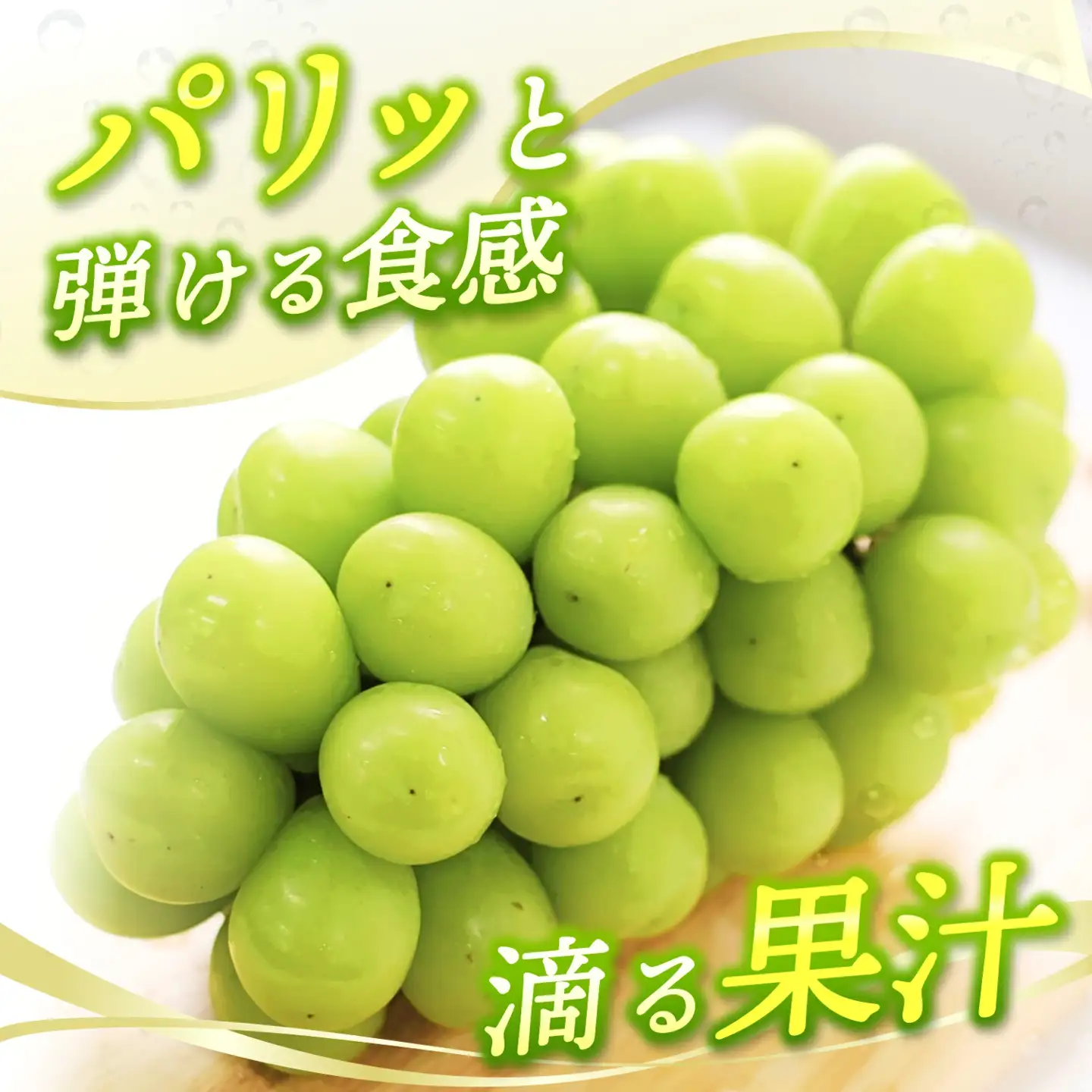 【2026年先行予約】 ご家庭用 Lino＆Kai Farmのシャインマスカット 2房（1.4kg前後） 化粧箱入 ぶどう 岡山 真庭市 シャインマスカット 大粒 【linokai008-02】