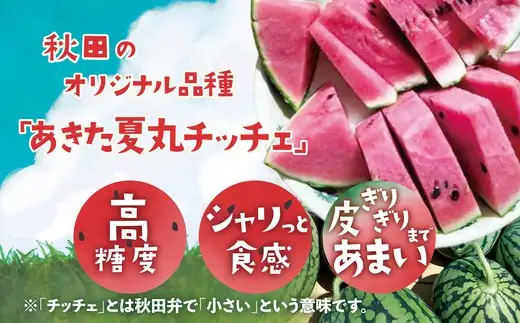 シャリっと甘い小玉スイカ！あきた夏丸チッチェ＜小1個＞　50P3424【ひない渡辺農園しどけ村】