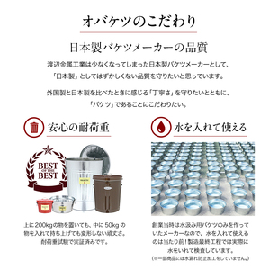たらいバケツ日本製シルバーたらい【4.5L×2個】