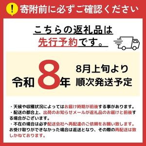 【2026年 先行予約】【希少品種・お楽しみセット】シャインマスカット1房と旬の完熟1房詰め合わせ