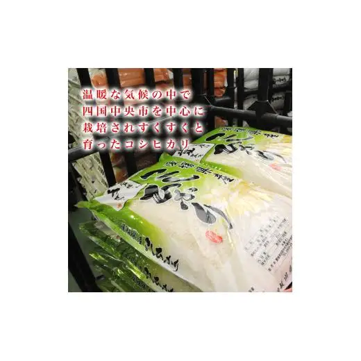 愛媛県産コシヒカリ20kg