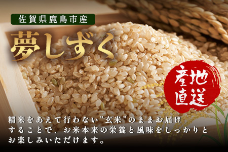 【鹿島市産】＼生産者直送／ 夢しずく 玄米10kg 佐賀県鹿島市 D-247