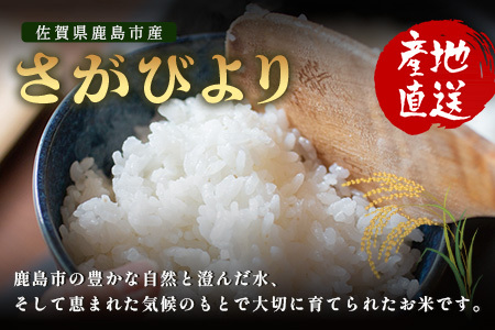 先行受付 ＼生産者直送／ さがびより 白米5kg 佐賀県 鹿島市 C-153