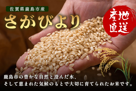 先行受付【鹿島市産】＼生産者直送／ さがびより 玄米10kg 佐賀県 鹿島市 D-249