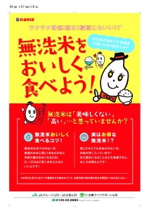 【令和7年産米】JAおきたま「無洗米雪若丸」5kg_A169(R7)-2